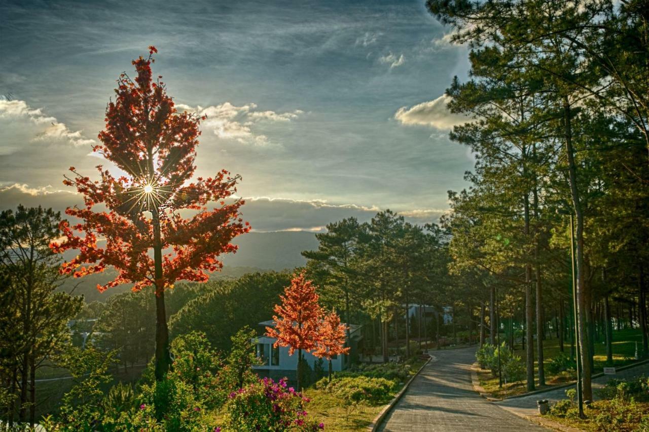 แตราคอตตา โฮเทล แอนด์ วิลลา ทะเลสาบเตวียนลัม ดาลัด Villa ภายนอก รูปภาพ